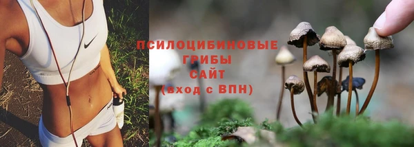 круглые Волоколамск